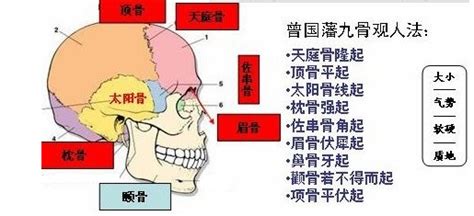 身体四大骨相解析,第2张